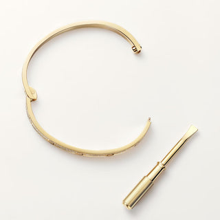 Cartier Love detail view