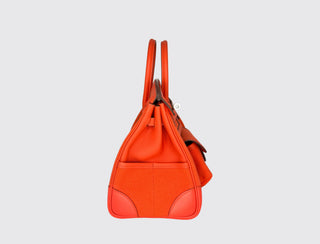 Hermès Birkin 25 Cargo Orange Field back view