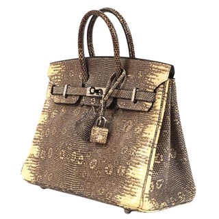 Hermès Birkin 25 Ombré back view