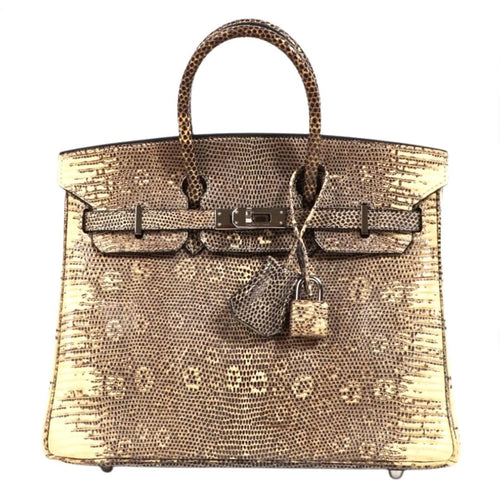 Hermès Birkin 25 Ombré Lizard