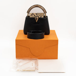 Louis Vuitton Capucines back view
